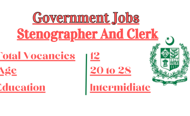 Stenographer and Clerk Jobs 2024