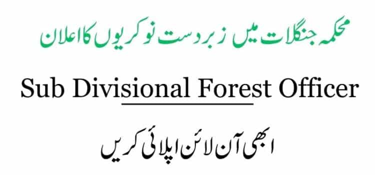 Sub Divisional Forest Officer Jobs 2024