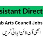 Punjab Arts Council Jobs 2024
